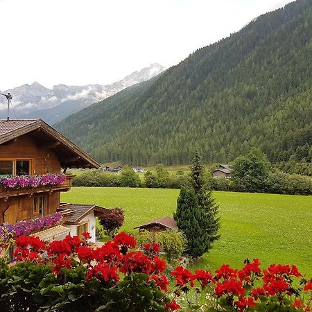 Ferienwohnung Griesshof Neustift im Stubaital Exterior foto