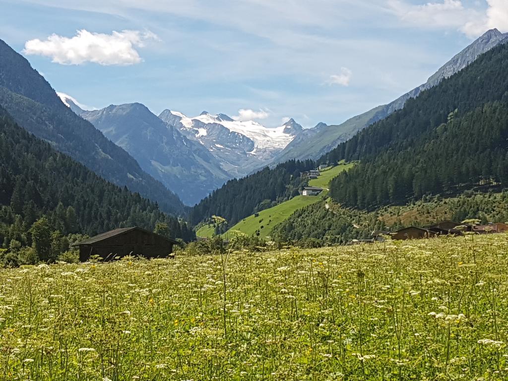 Ferienwohnung Griesshof Neustift im Stubaital Exterior foto